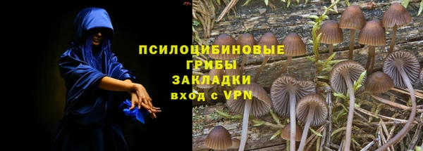 прущая мука Корсаков