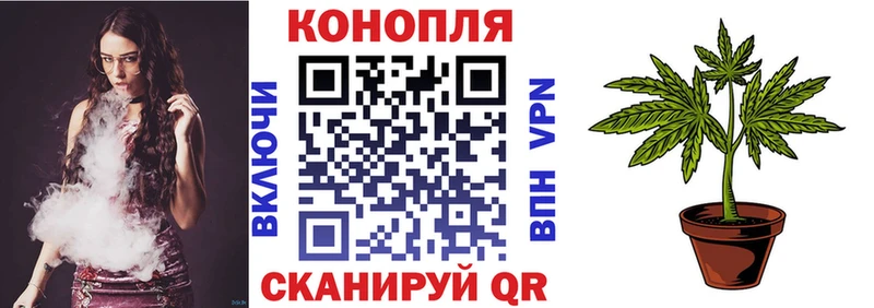 Купить где  Ужур  МАРИХУАНА SATIVA & INDICA 